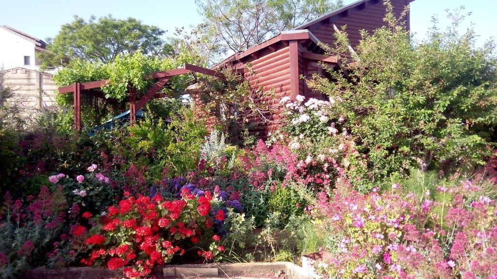 Hahar Aatzil Villa Hazon ภายนอก รูปภาพ